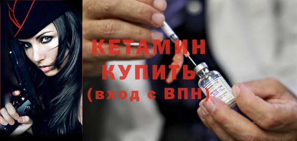 крисы Гатчина