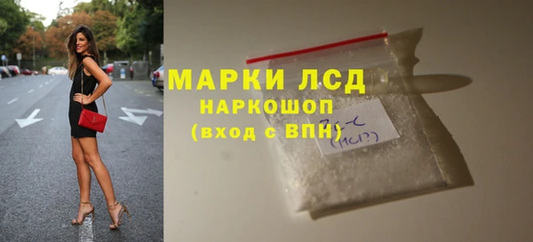 амф Болотное