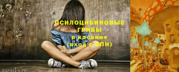 метадон Галич