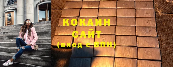 амф Болотное