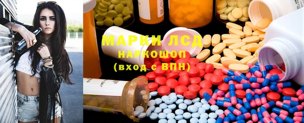амф Болотное