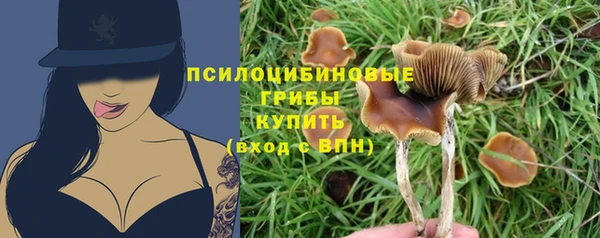 прущие крисы Болохово